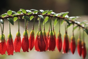 佛山顺德区1私人快速借钱网，轻松解决资金难题