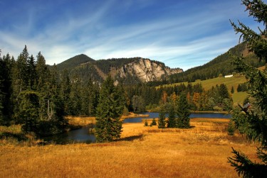 佛山顺德区1民间私贷攻略：揭秘低成本借贷的秘密